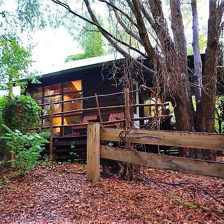 黑凤头鹦鹉小屋 楠立 外观 照片