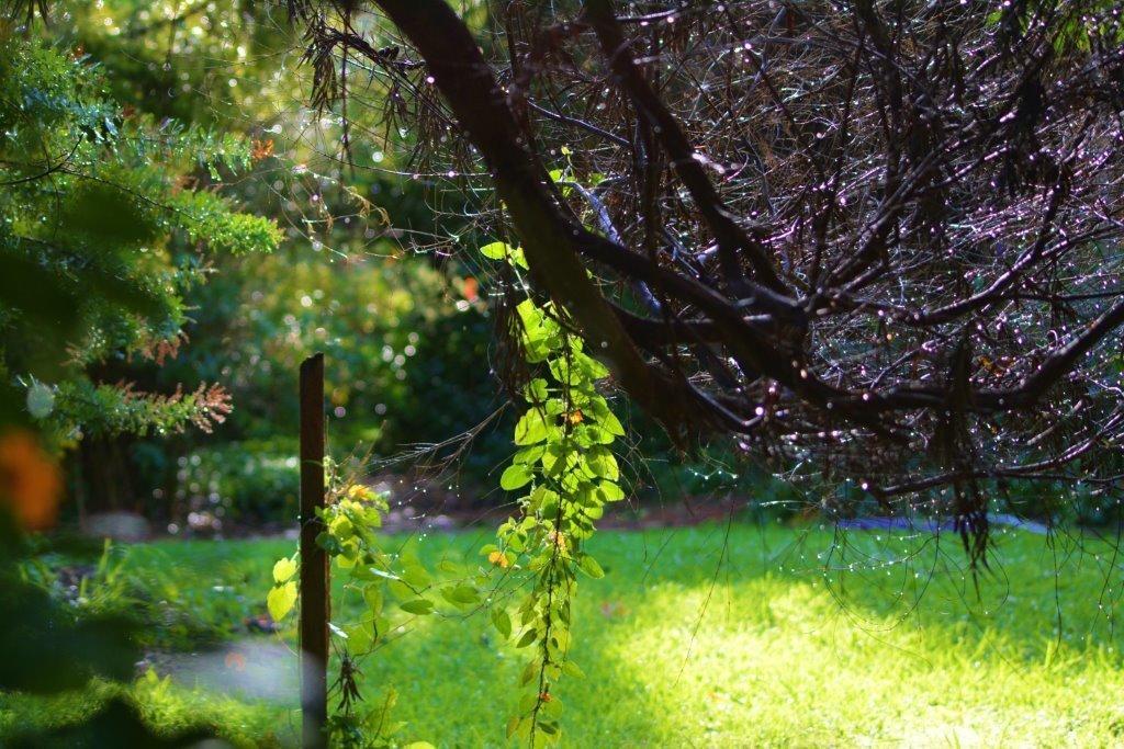 黑凤头鹦鹉小屋 楠立 外观 照片