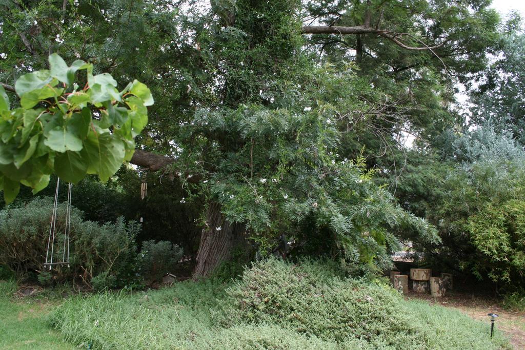 黑凤头鹦鹉小屋 楠立 外观 照片