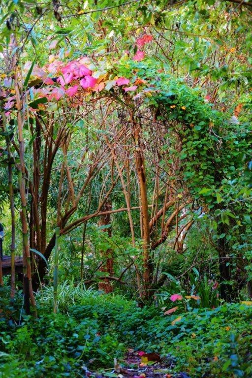 黑凤头鹦鹉小屋 楠立 外观 照片