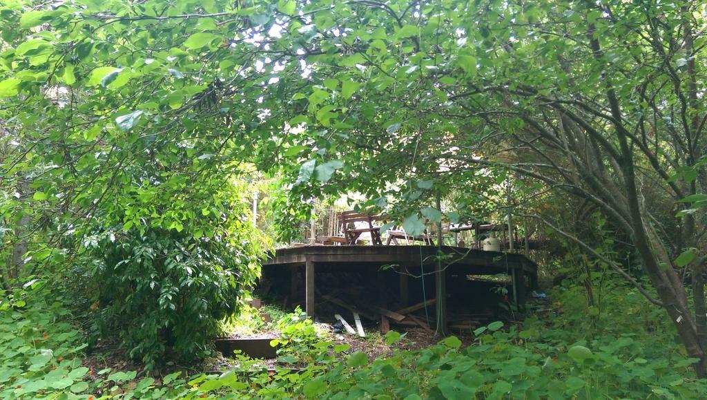 黑凤头鹦鹉小屋 楠立 外观 照片