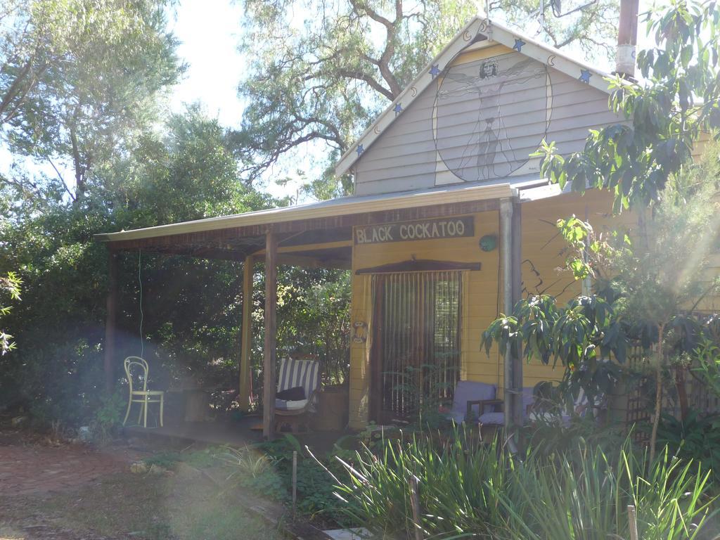 黑凤头鹦鹉小屋 楠立 外观 照片