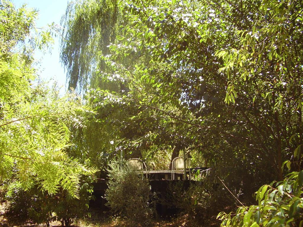 黑凤头鹦鹉小屋 楠立 外观 照片