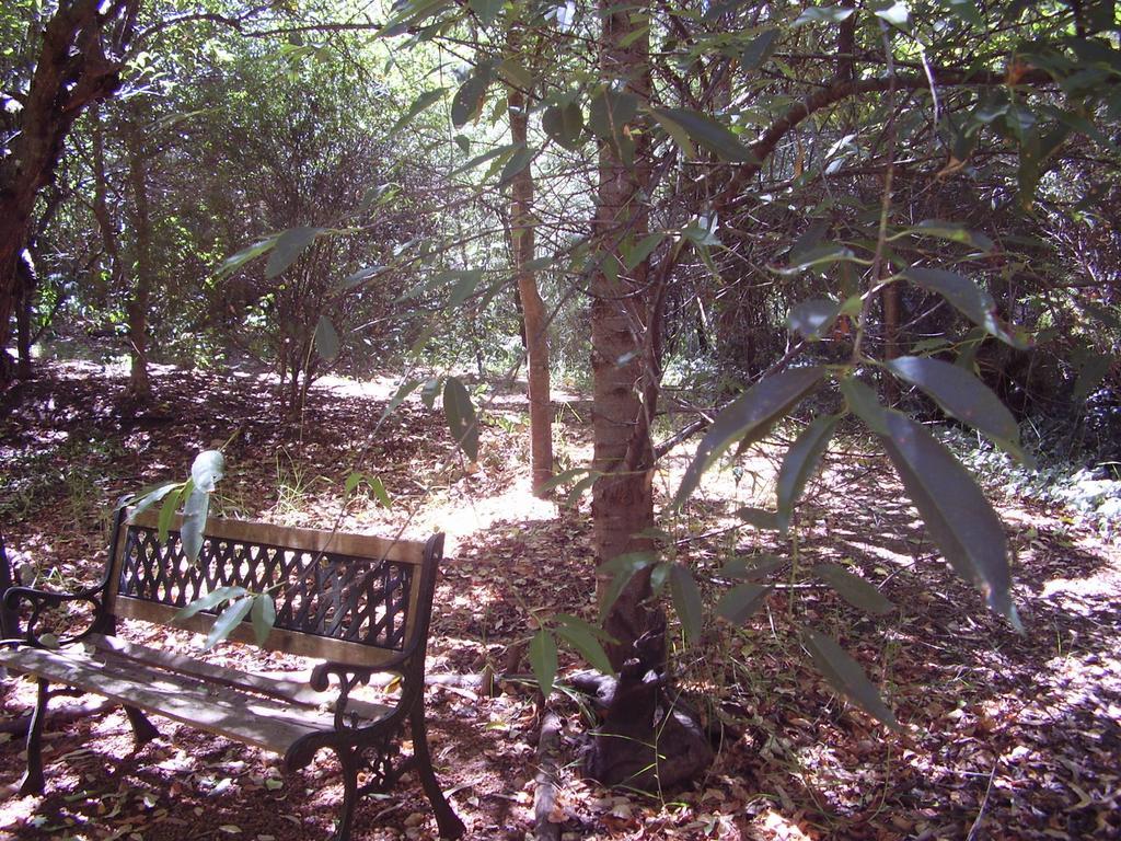 黑凤头鹦鹉小屋 楠立 外观 照片