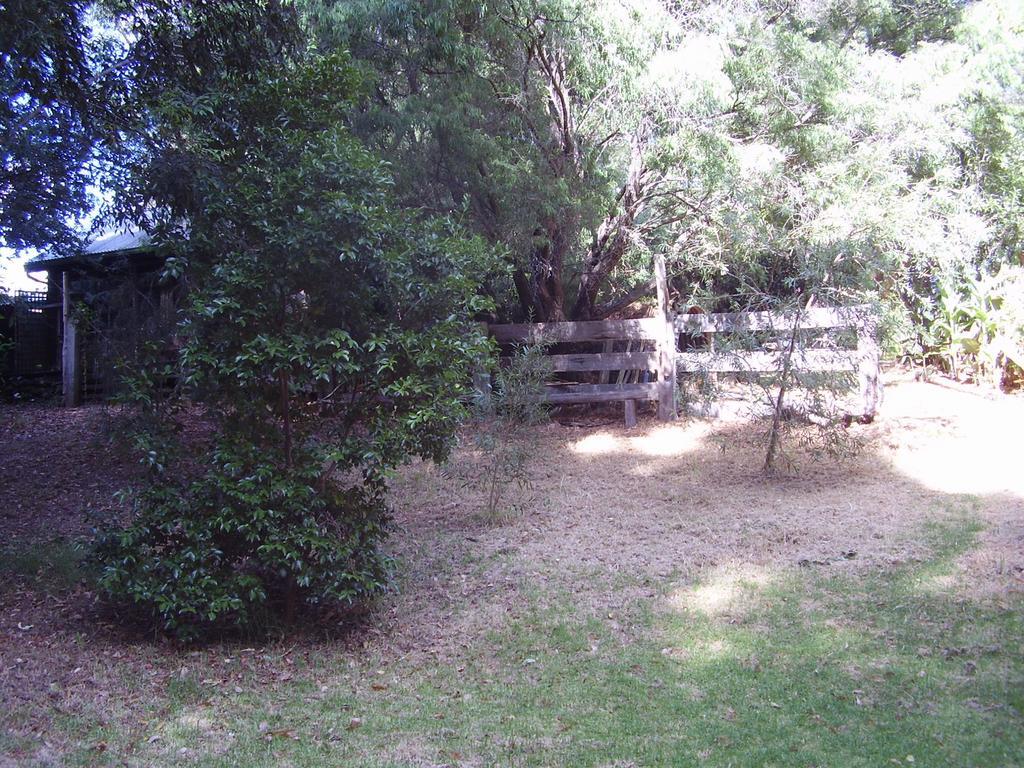 黑凤头鹦鹉小屋 楠立 外观 照片
