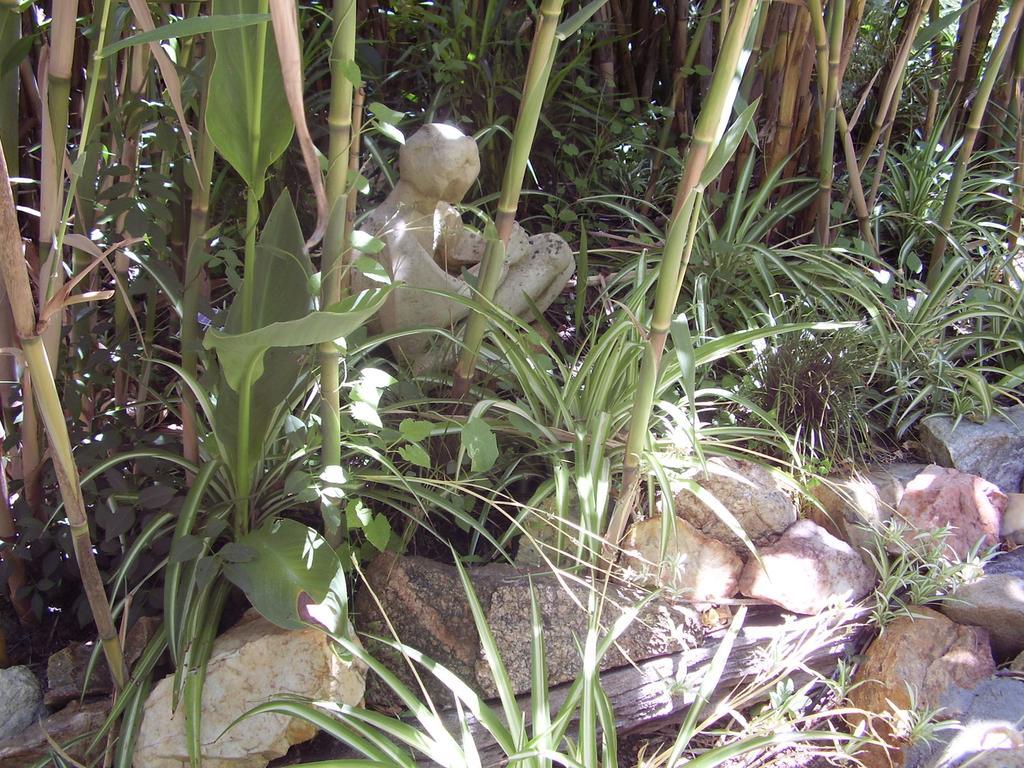 黑凤头鹦鹉小屋 楠立 外观 照片