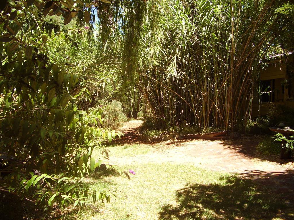 黑凤头鹦鹉小屋 楠立 外观 照片