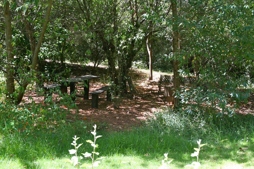 黑凤头鹦鹉小屋 楠立 外观 照片