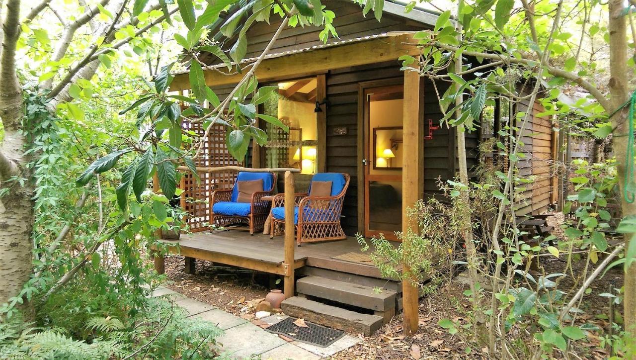 黑凤头鹦鹉小屋 楠立 外观 照片