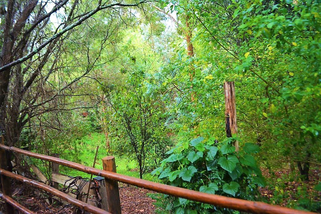 黑凤头鹦鹉小屋 楠立 外观 照片