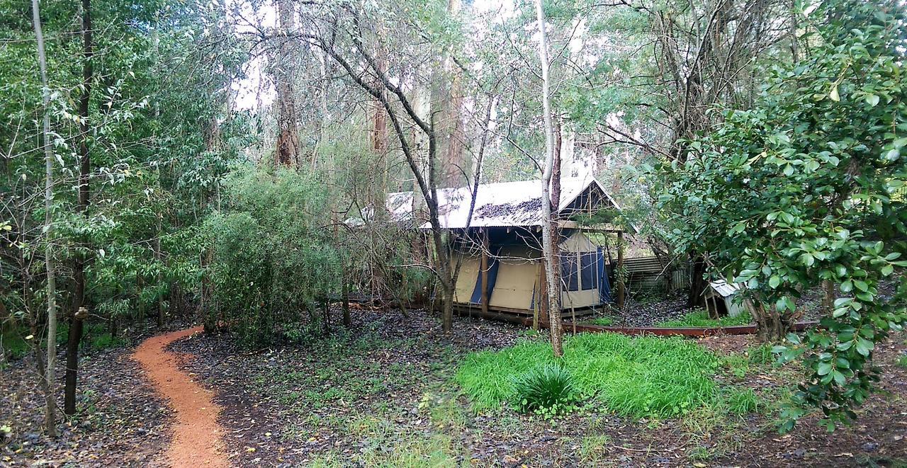 黑凤头鹦鹉小屋 楠立 外观 照片