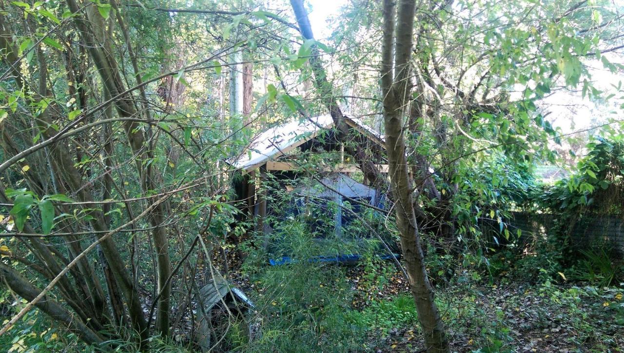 黑凤头鹦鹉小屋 楠立 外观 照片