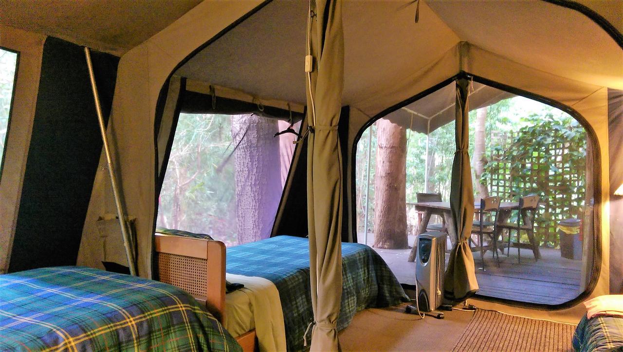 黑凤头鹦鹉小屋 楠立 外观 照片