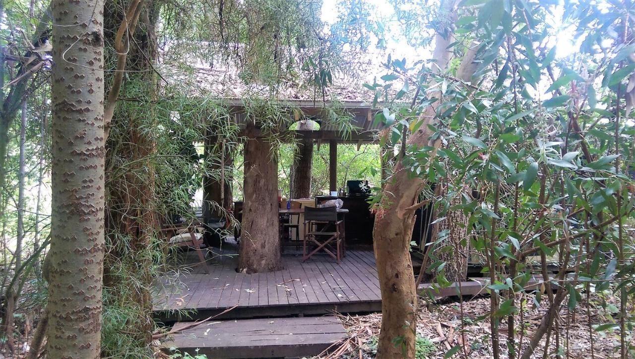 黑凤头鹦鹉小屋 楠立 外观 照片