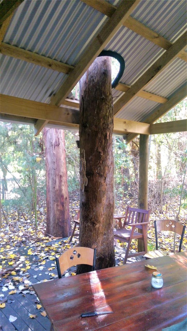 黑凤头鹦鹉小屋 楠立 外观 照片