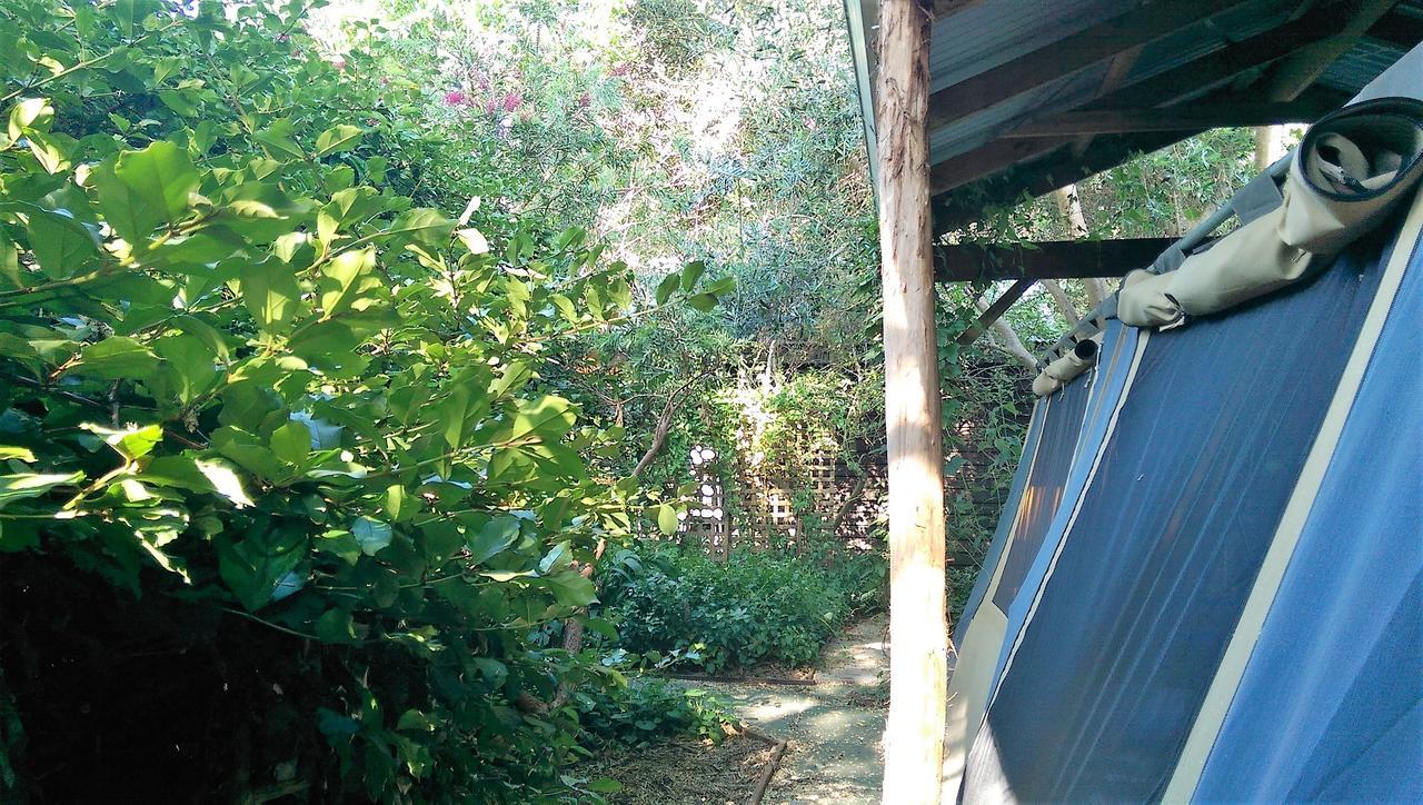 黑凤头鹦鹉小屋 楠立 外观 照片