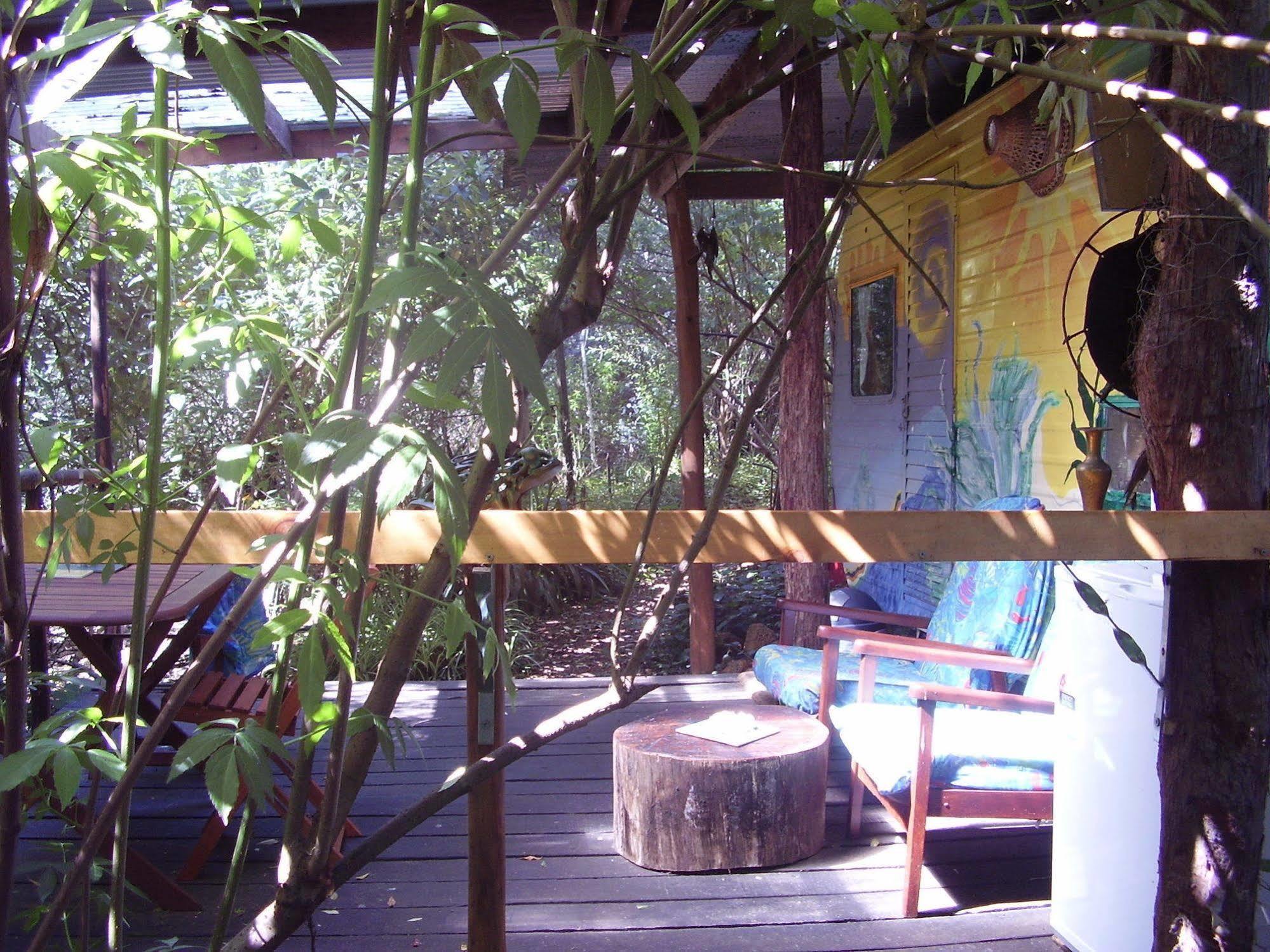 黑凤头鹦鹉小屋 楠立 外观 照片